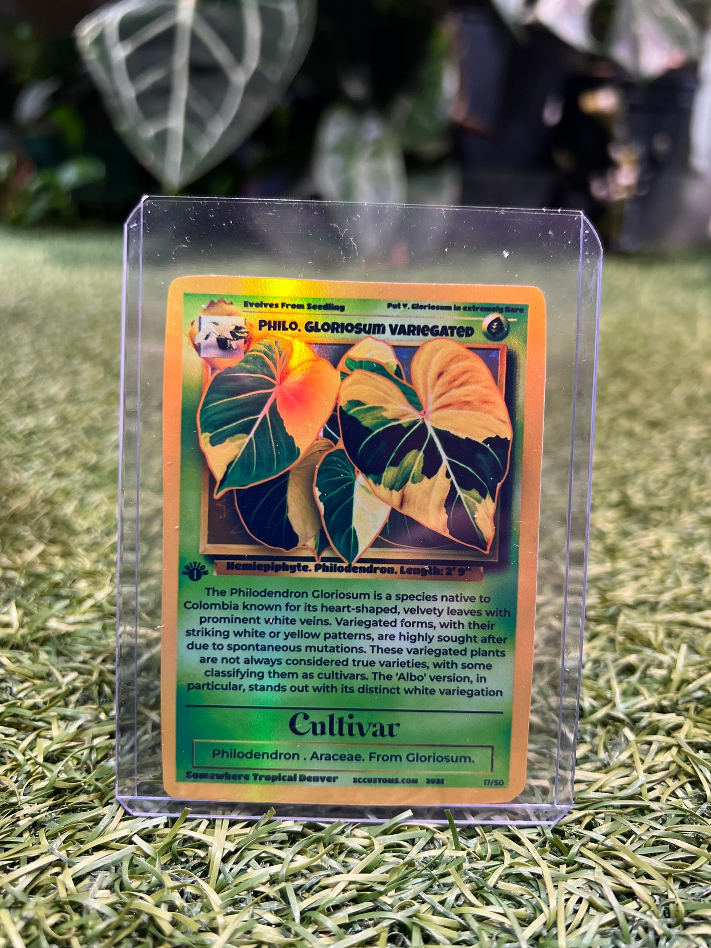 Plant Trading Card Stickers 🌿