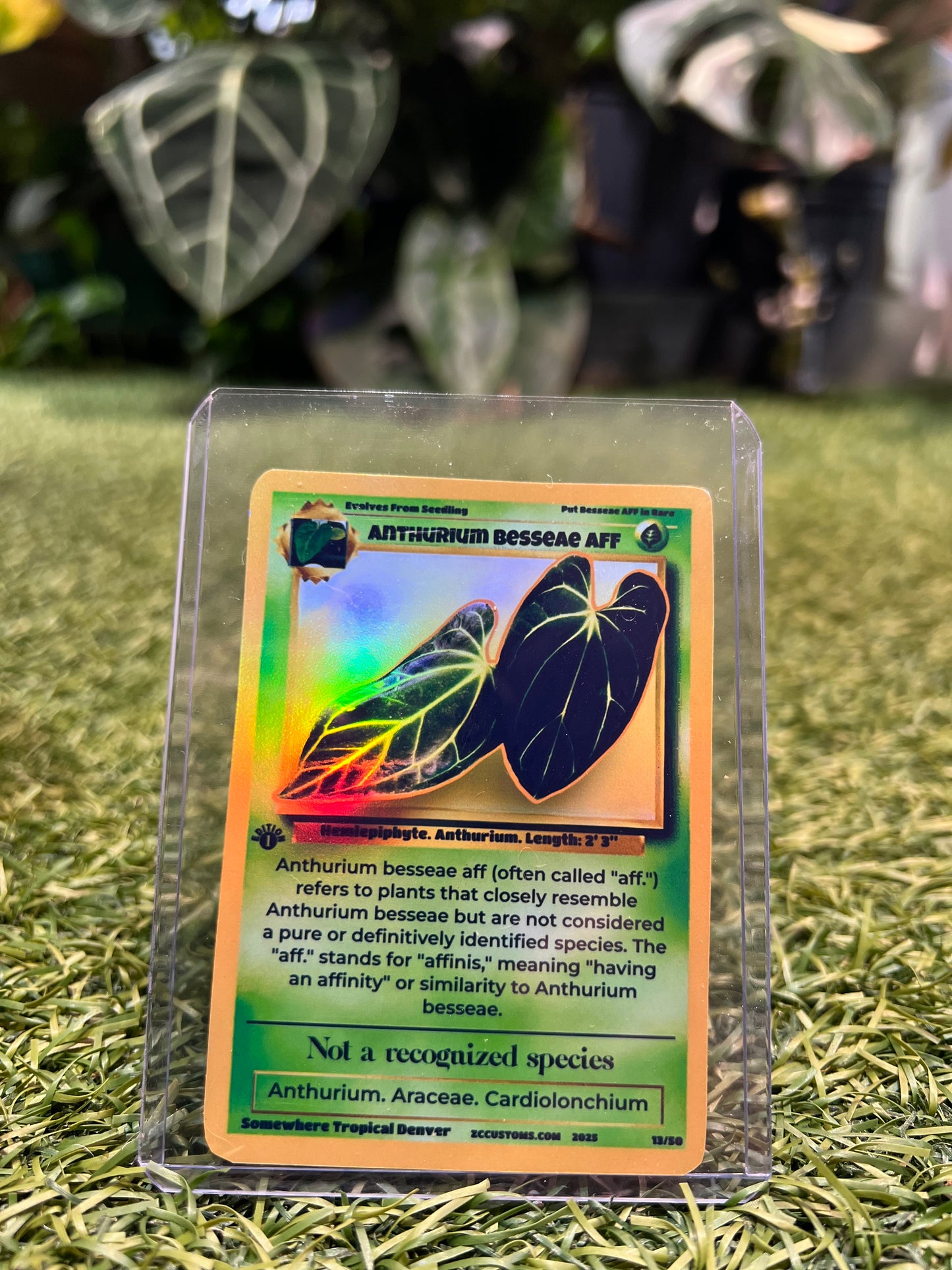 Plant Trading Card Stickers 🌿