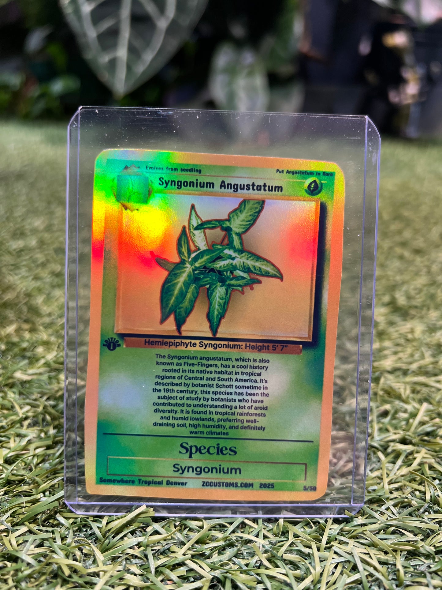 Plant Trading Card Stickers 🌿