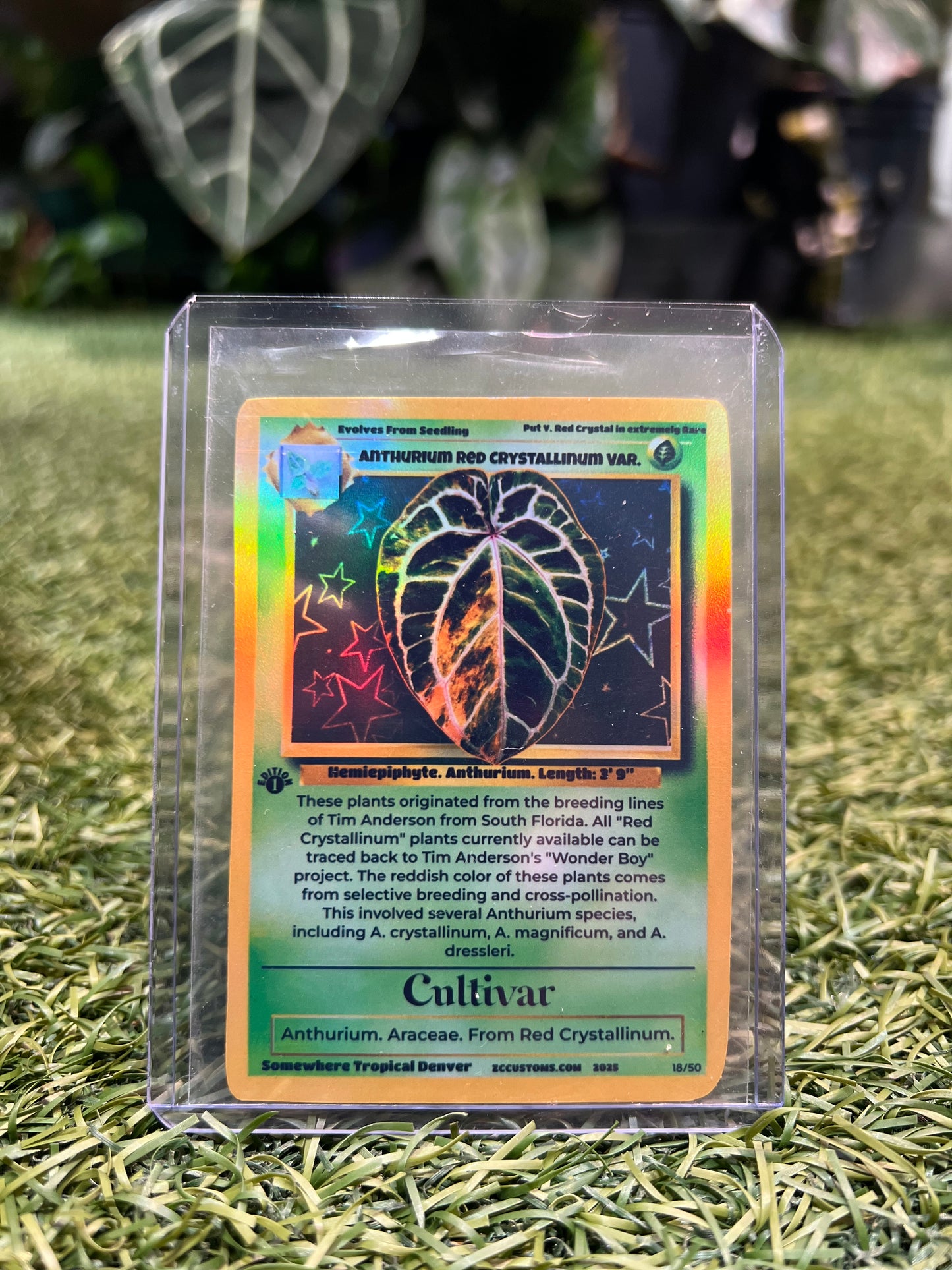 Plant Trading Card Stickers 🌿