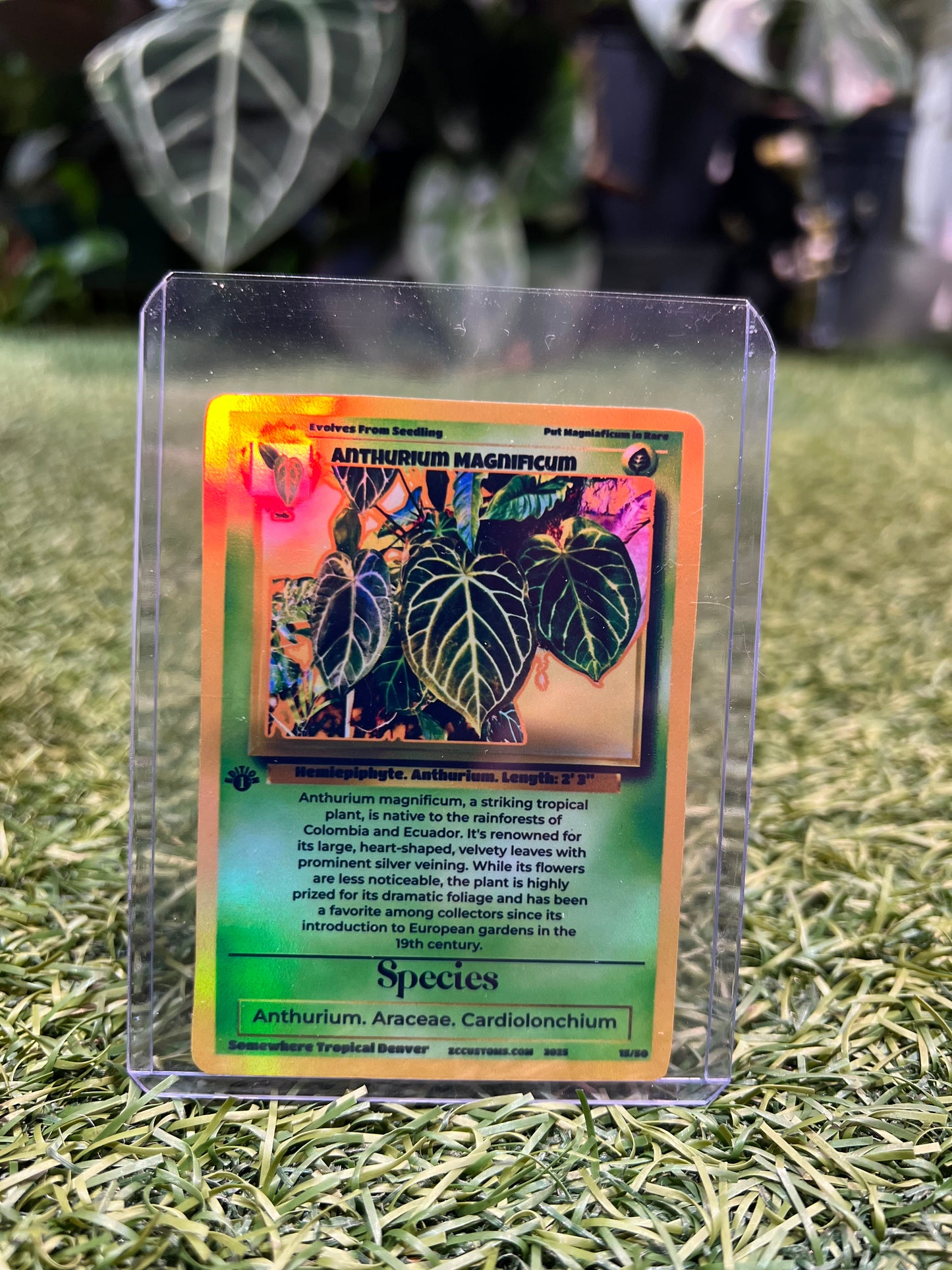 Plant Trading Card Stickers 🌿
