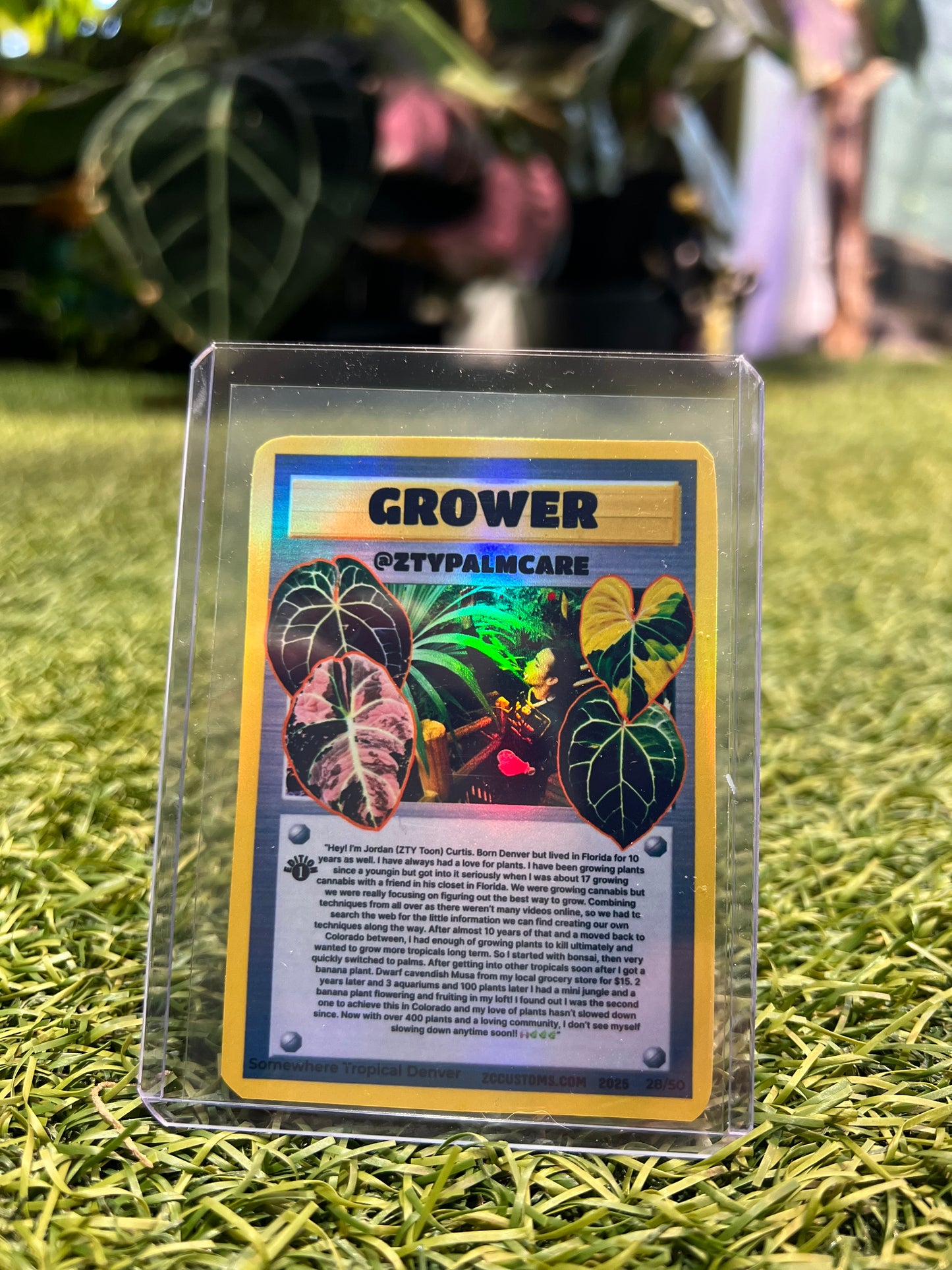 Plant Trading Card Stickers 🌿