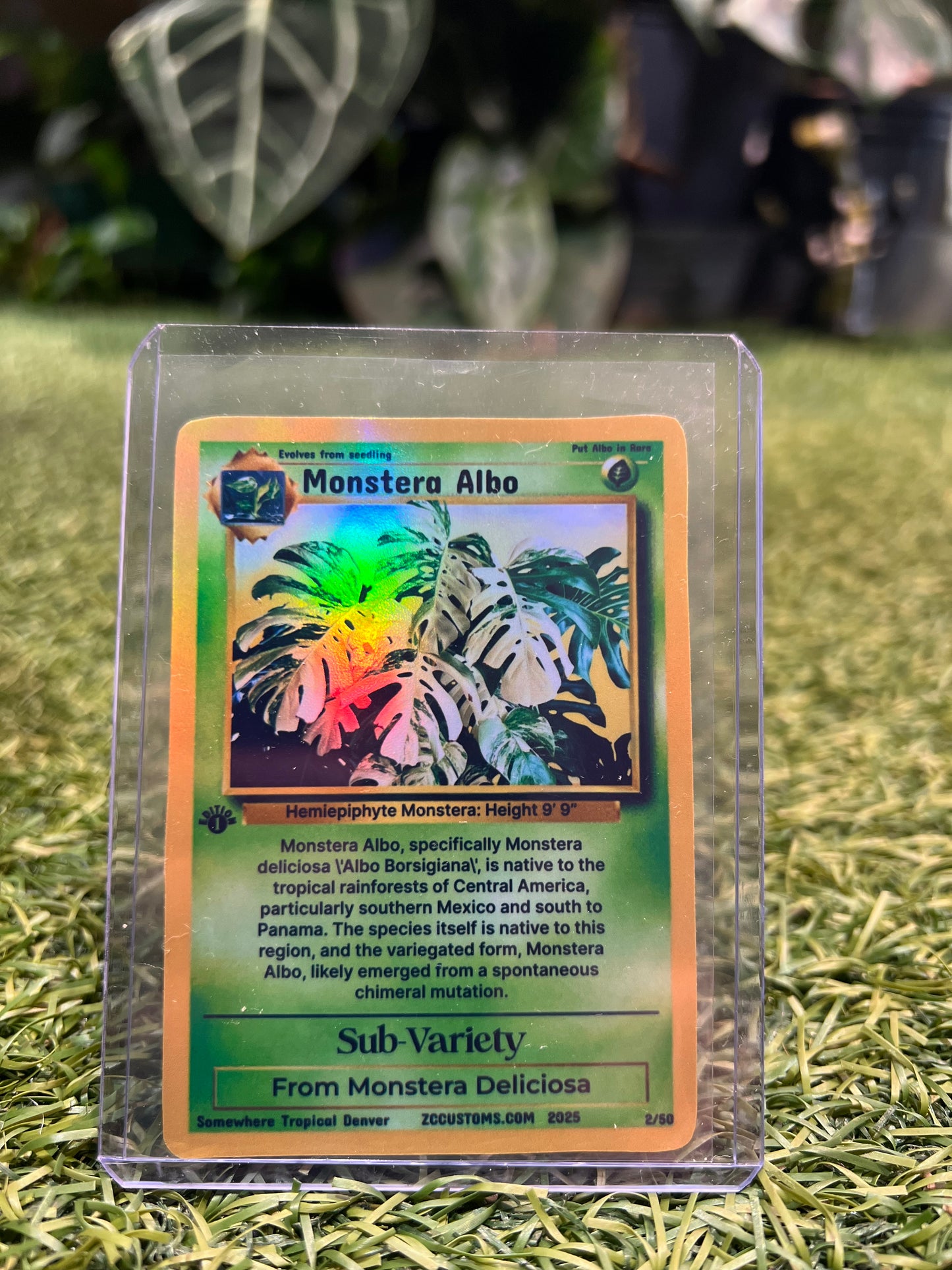Plant Trading Card Stickers 🌿