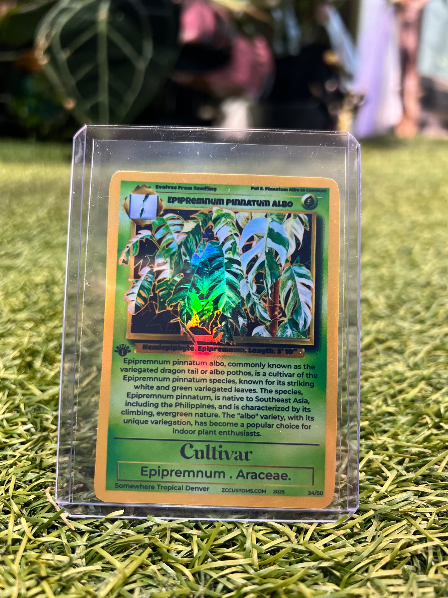 Plant Trading Card Stickers 🌿