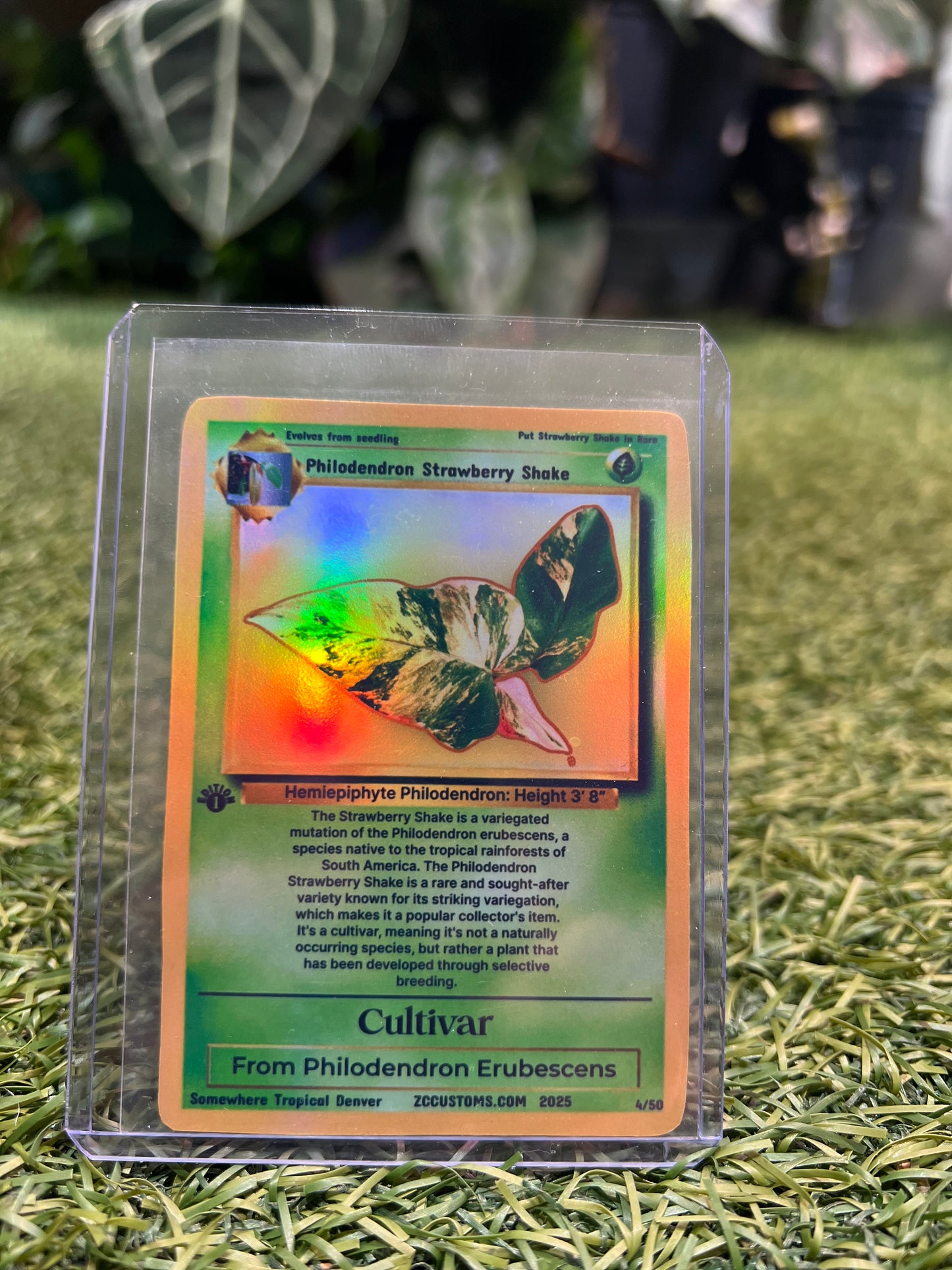 Plant Trading Card Stickers 🌿