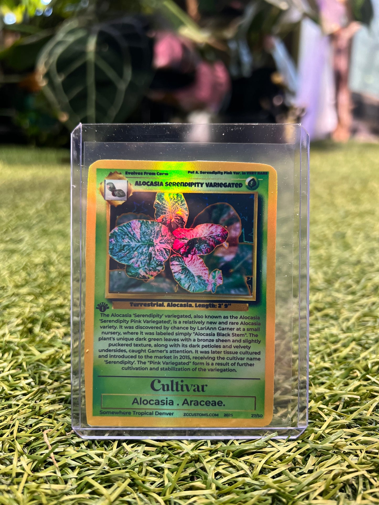 Plant Trading Card Stickers 🌿