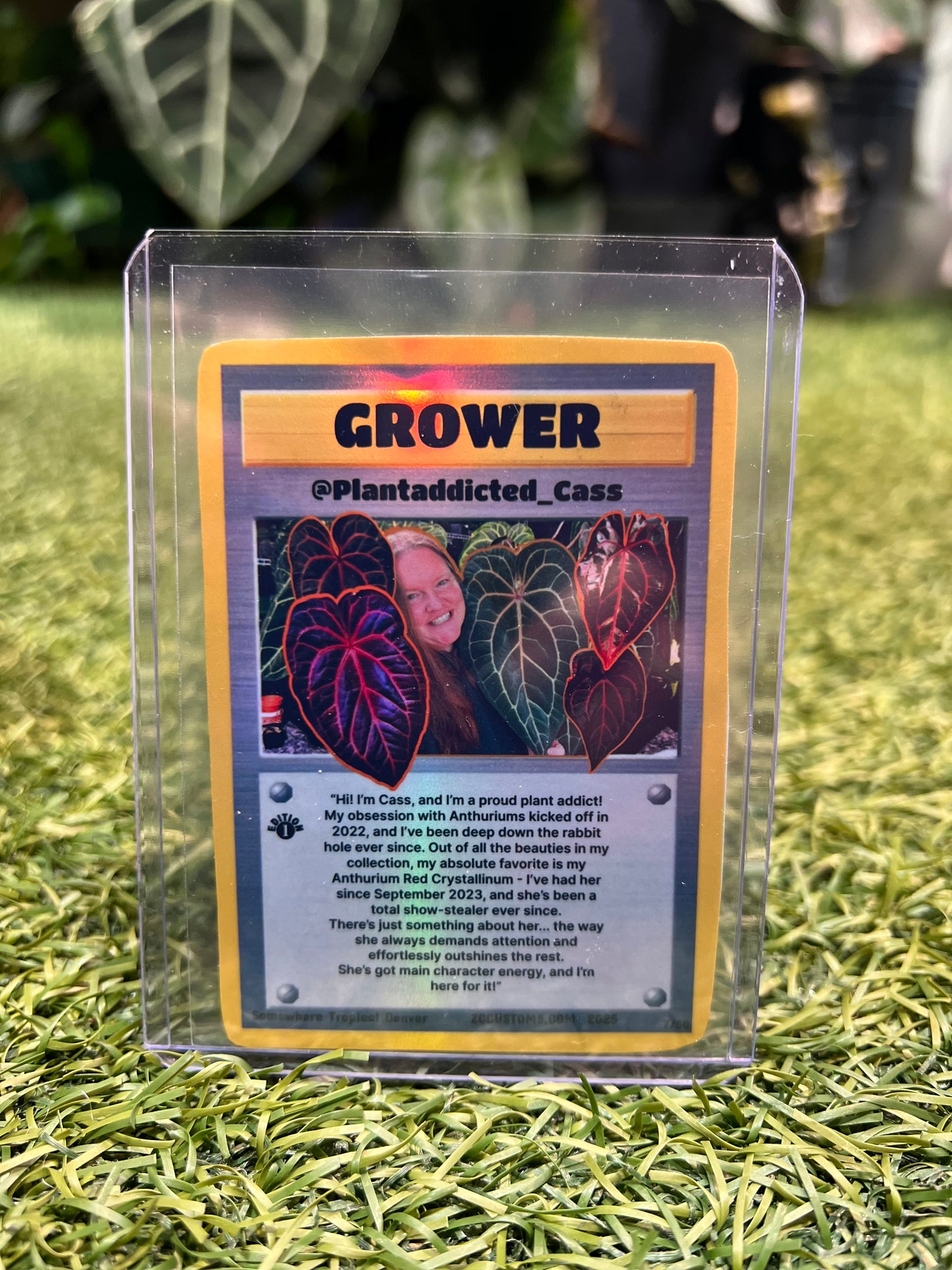 Plant Trading Card Stickers 🌿