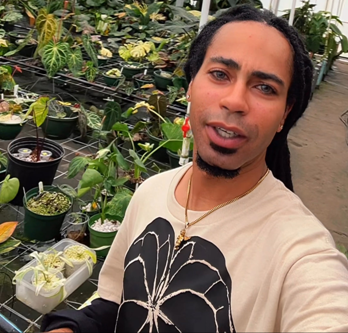 GIVEAWAY ZC ANTHURIUM CRYSTALLINUM TEE