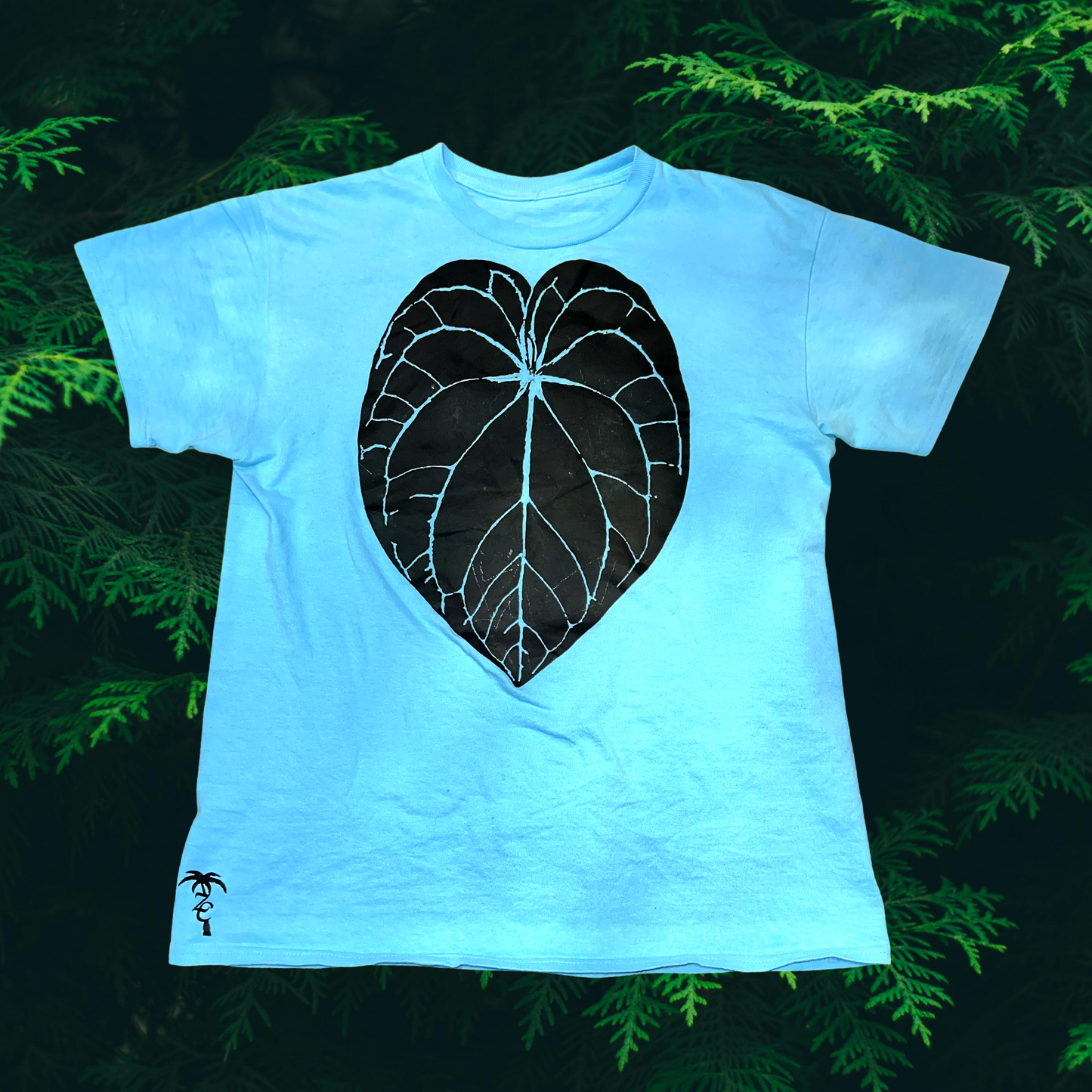 GIVEAWAY ZC ANTHURIUM CRYSTALLINUM TEE