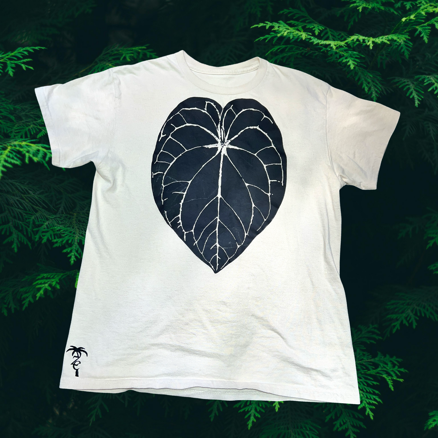 GIVEAWAY ZC ANTHURIUM CRYSTALLINUM TEE