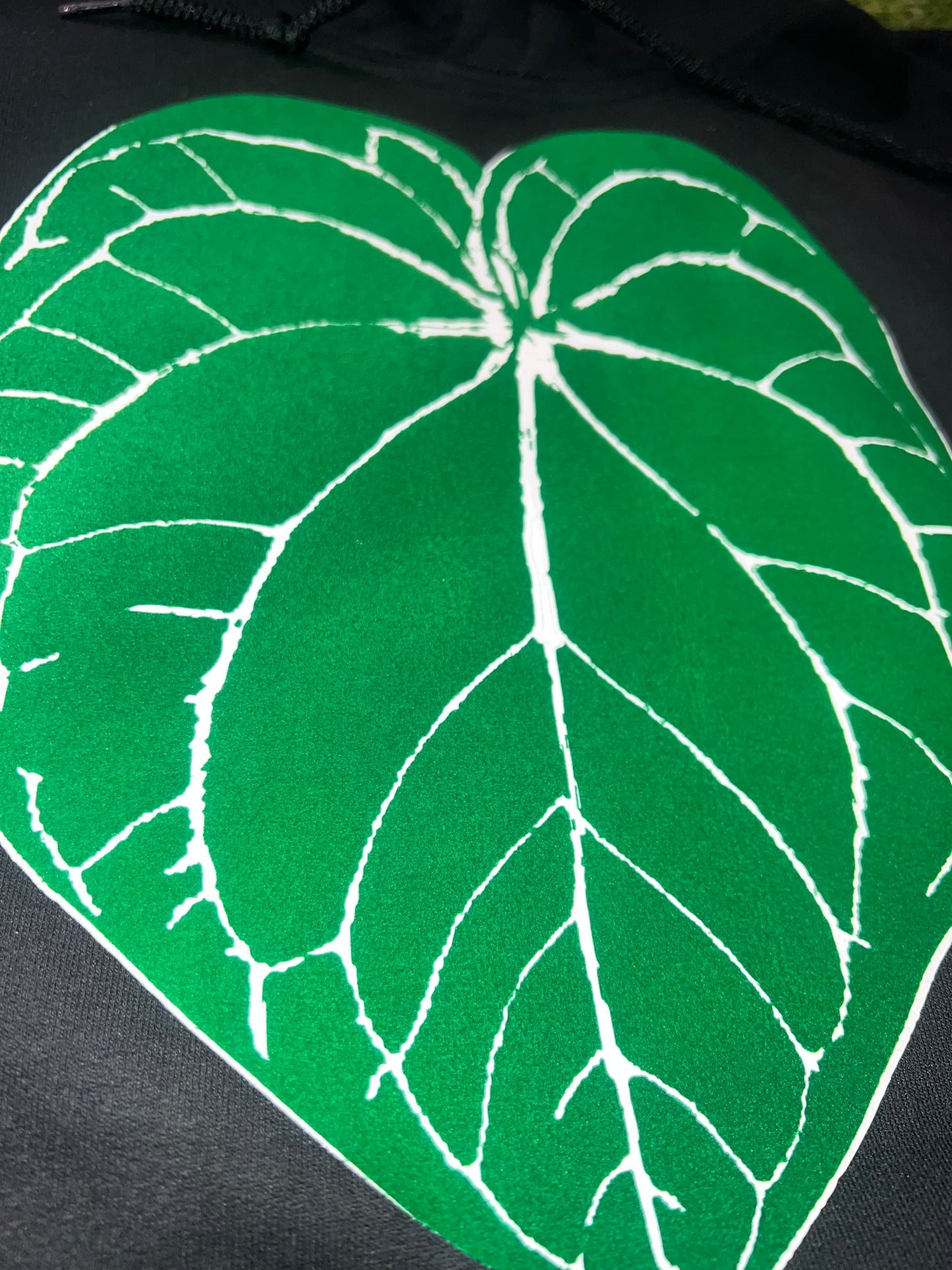 ZC Anthurium Crystallinum “Flocked” Textured Hoodie