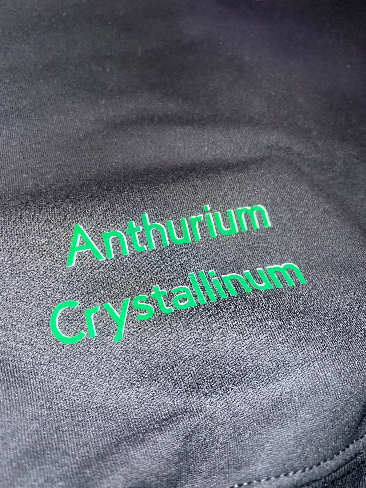 ZC Anthurium Crystallinum “Flocked” Textured Hoodie